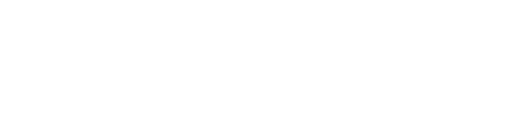 GNS Business Logo white