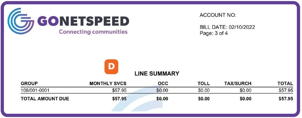gns understand your bill page summary