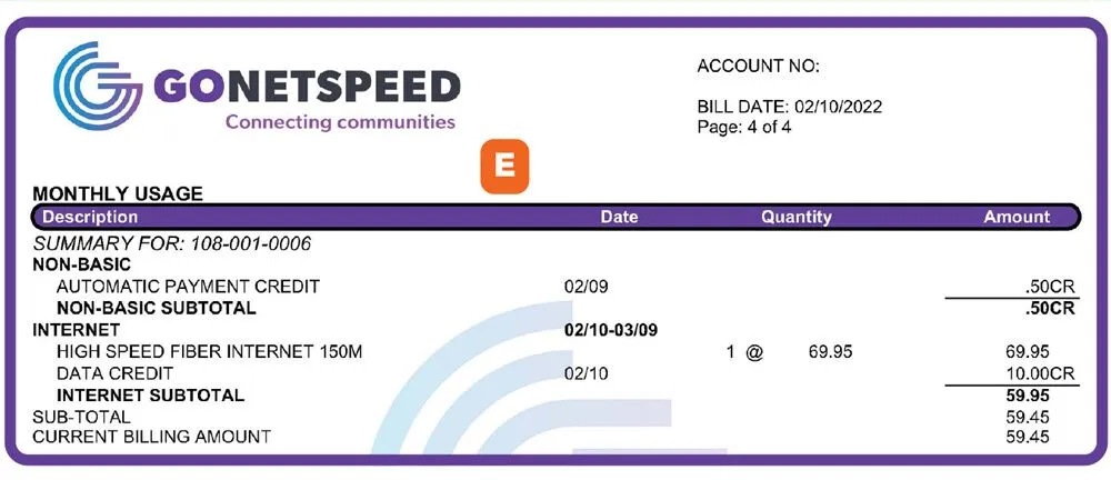 gns understand your bill page usage