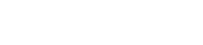 Netspeed logo