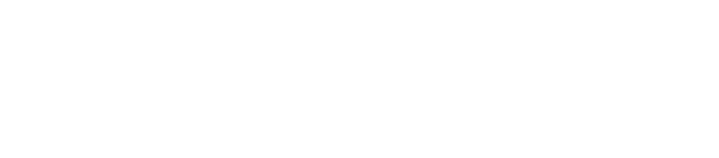 GNS Business Logo white