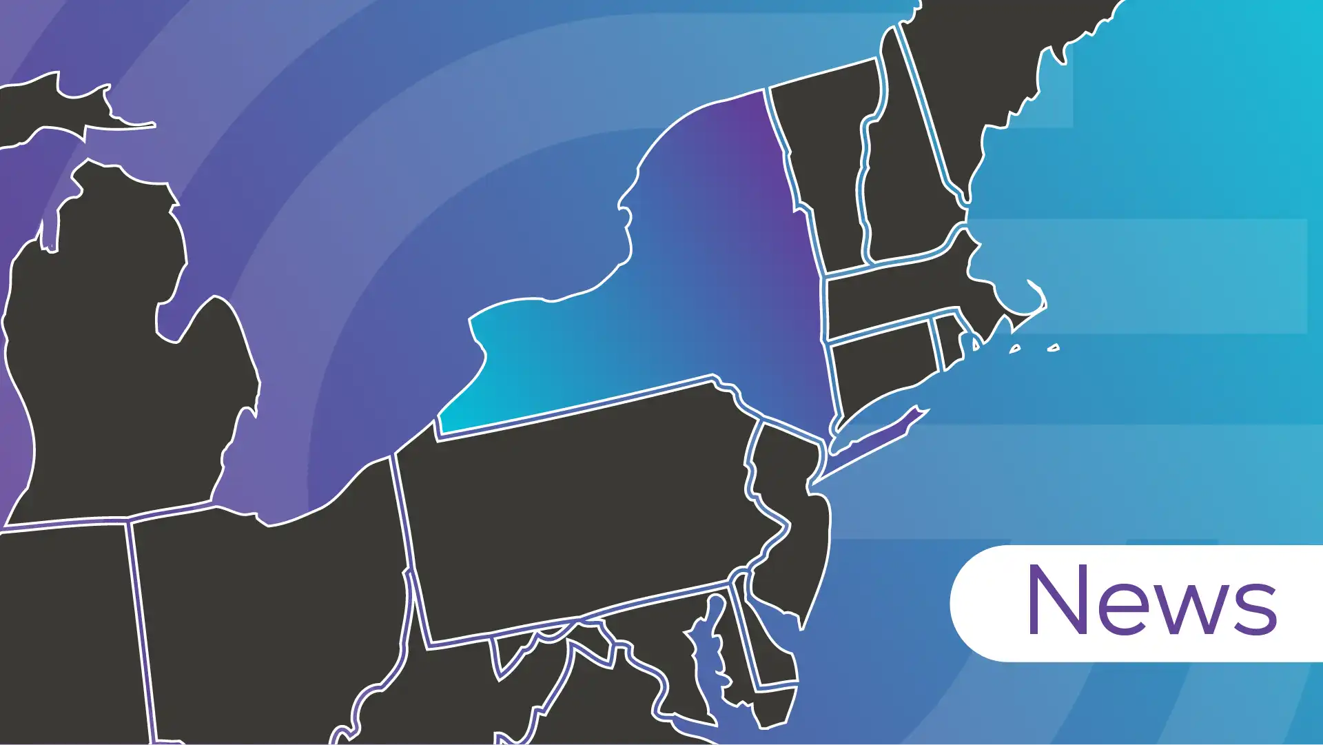 gns new york news