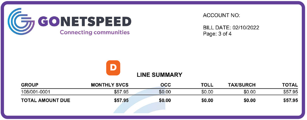 gns understand your bill page summary